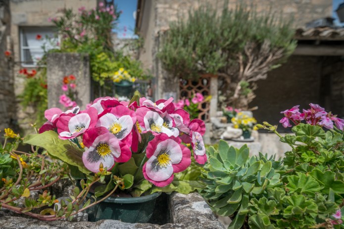 ArlesDSC0835020170827-1