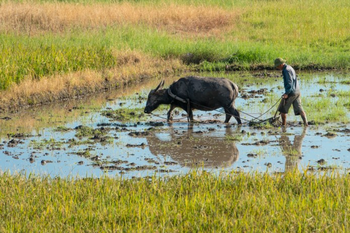 Halong BayDSC0879120170926-1