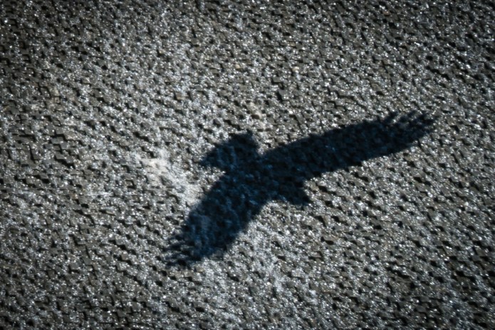 AzerbaijanDSC0007020170329-1