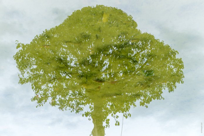 HueDSC0005120170915-1