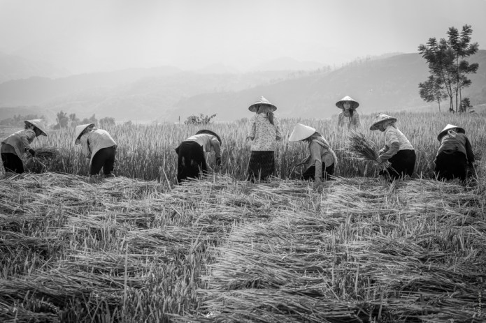 SapaDSC0084620170922-1-2