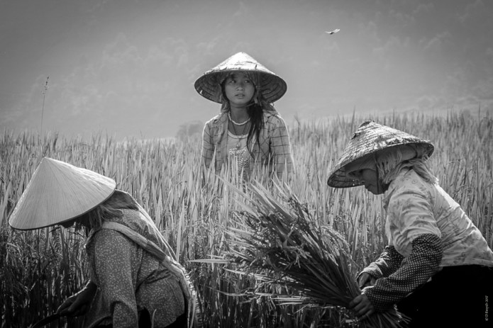 SapaDSC0084620170922-1