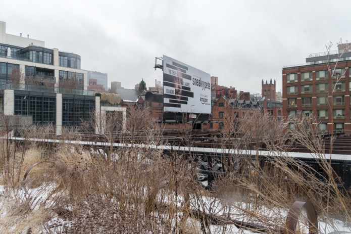 untitledDSC0686420170212-1