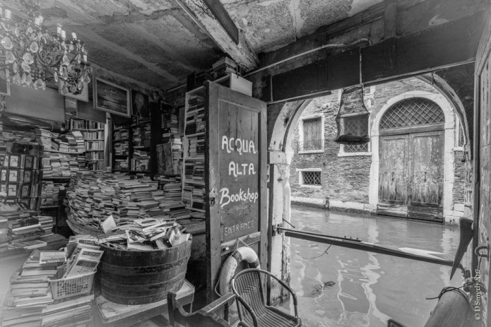 VeniceDSC0810120170228-1-2