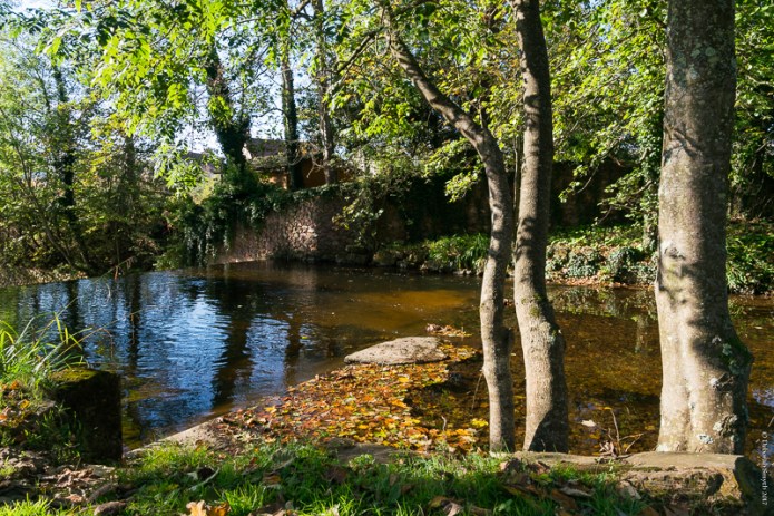 DevonDSC0618020171030-1