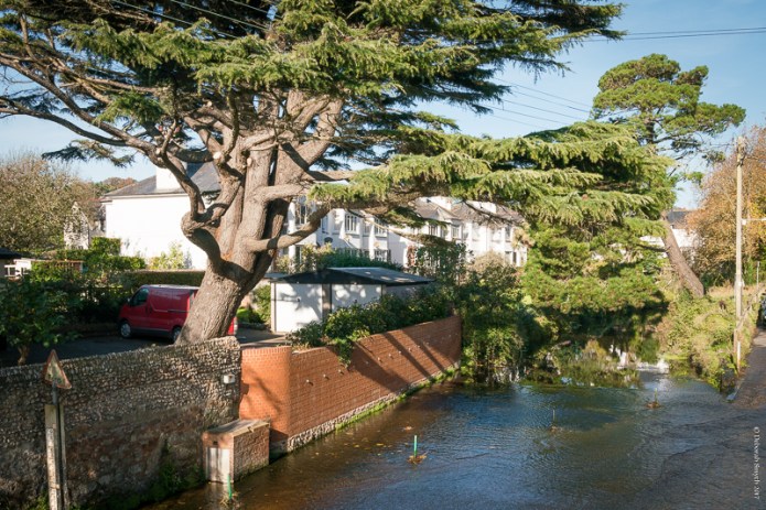 DevonDSC0619320171030-1