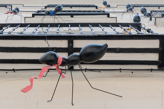 MadridDSC0565320170609-1-2