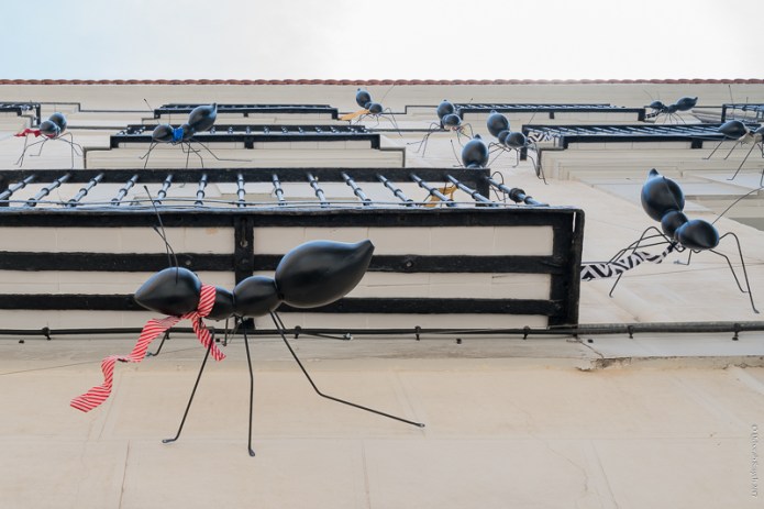 MadridDSC0565320170609-1