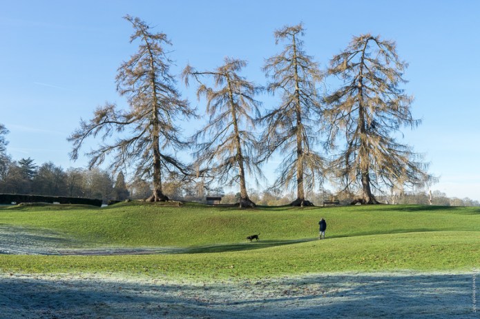 StAlbans201701182-5-1