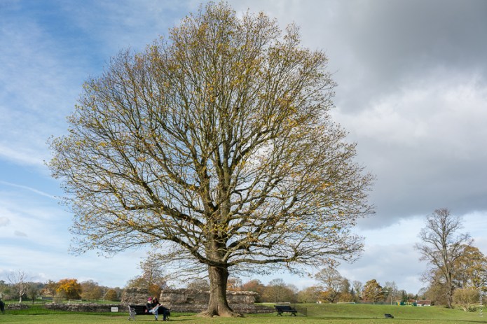 StAlbansDSC0708220171110-1