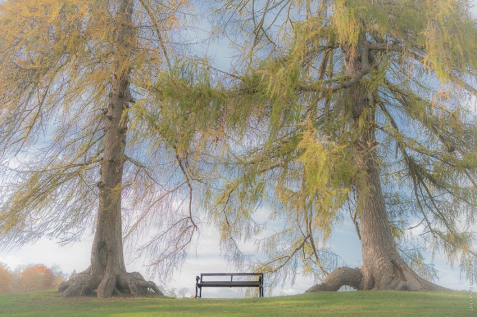 StAlbansDSC0709220171110-1-2