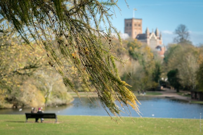 StAlbansDSC0853720171110-1