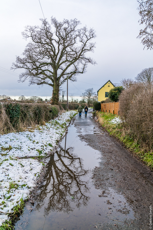 KnowleDSC0888620171227-1 big.jpg