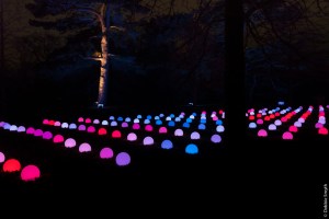 LondonDSC0865920171220-1