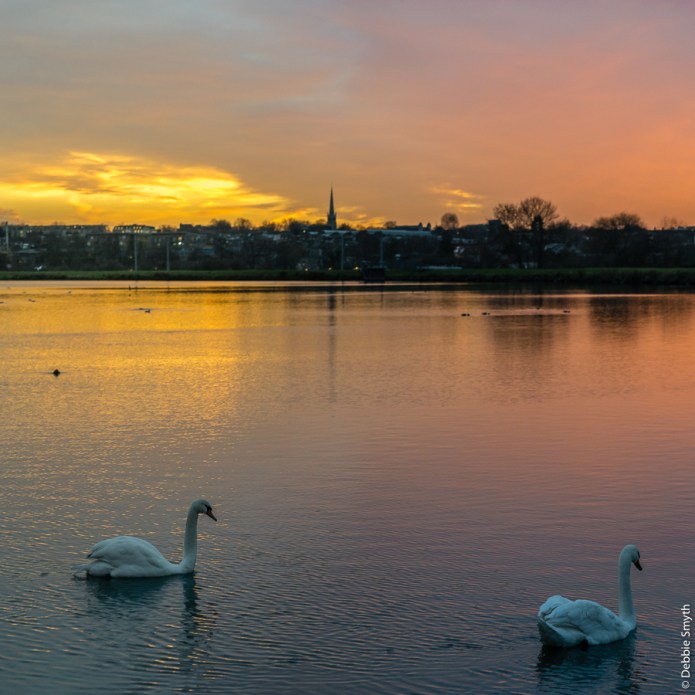 LondonDSC0966120171207-1