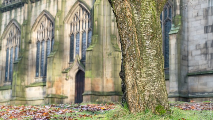 ManchesterDSC0842820171212-1-2