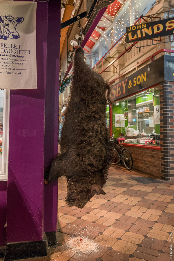 OxfordDSC0955220171202-1