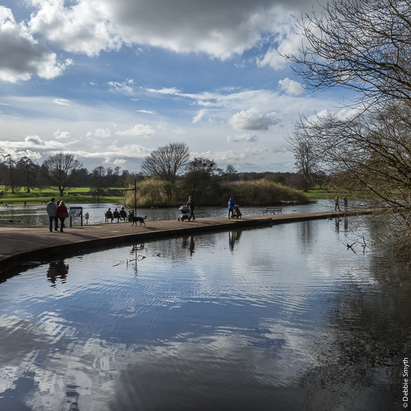 StAlbansDSC0834920170304-1