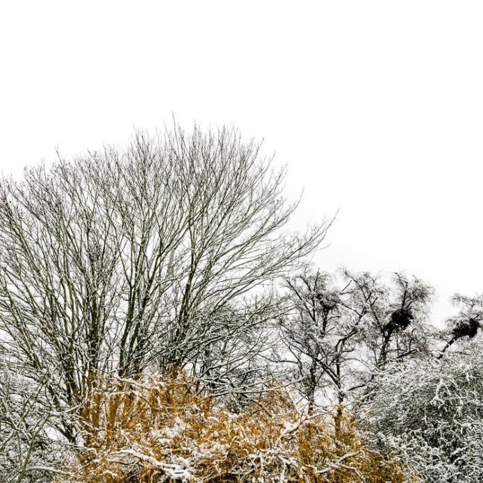 StAlbansDSC0971120171210-1-8