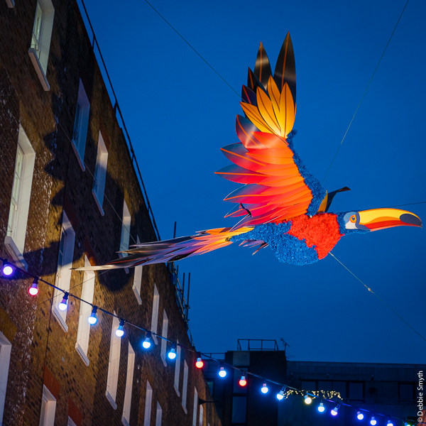 untitledDSC0864420171219-1-2