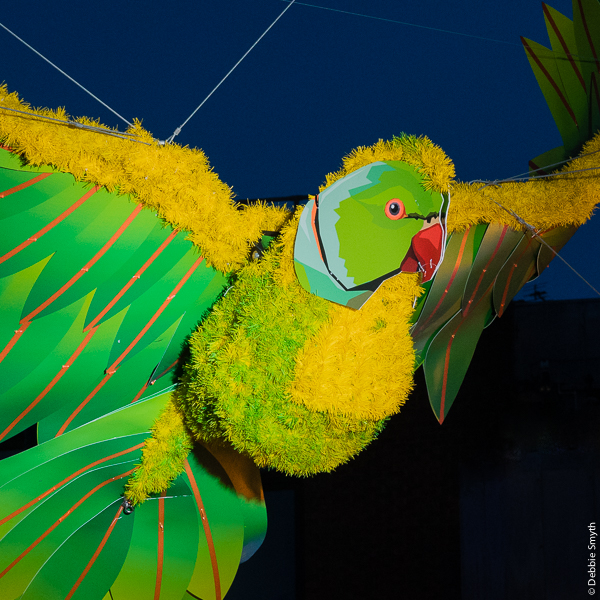 untitledDSC0864820171219-1-2