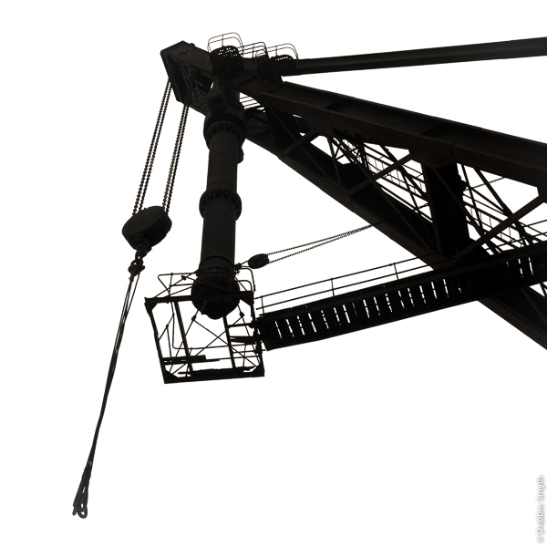 untitledDSC0881620171125-1-3