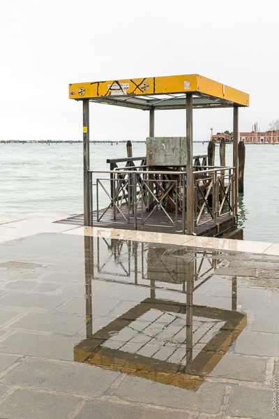 untitledDSC0904620171126-1