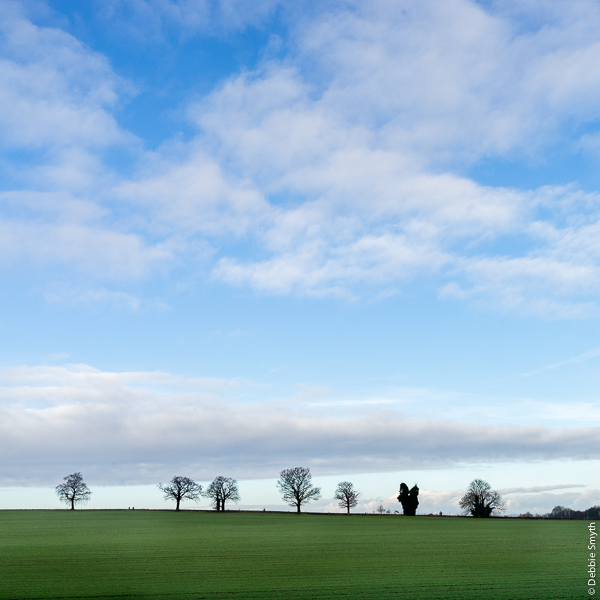 WelwynDSC0563920170108-1-2