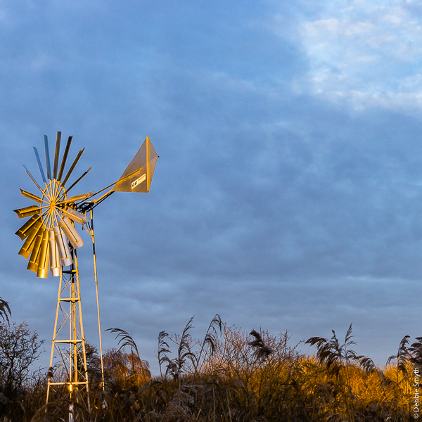 WickenFenDSC0581920170118-1-3