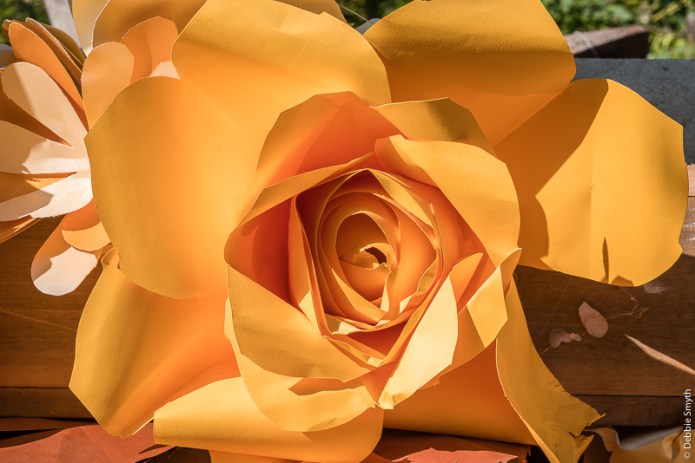 HueDSC0952520170912-1