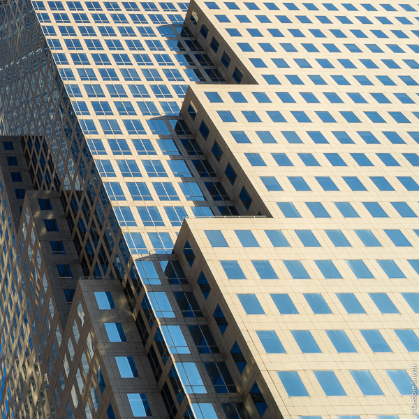 untitledDSC0733220170214-1-2