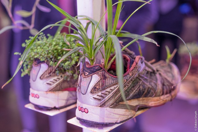 untitledDSC0875020171125-1