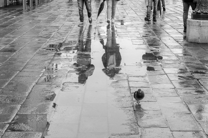 untitledDSC0901720171126-1