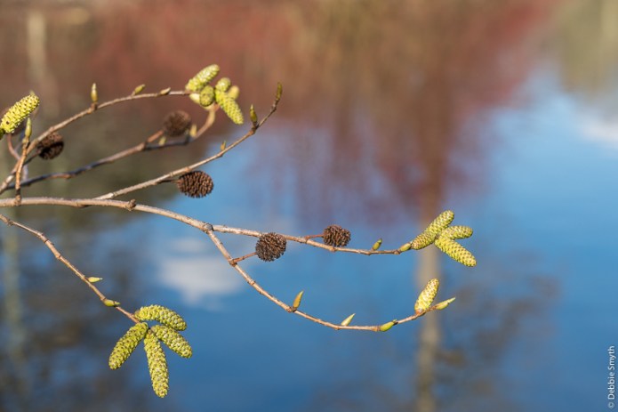 LondonA9A0292320180211-1-2