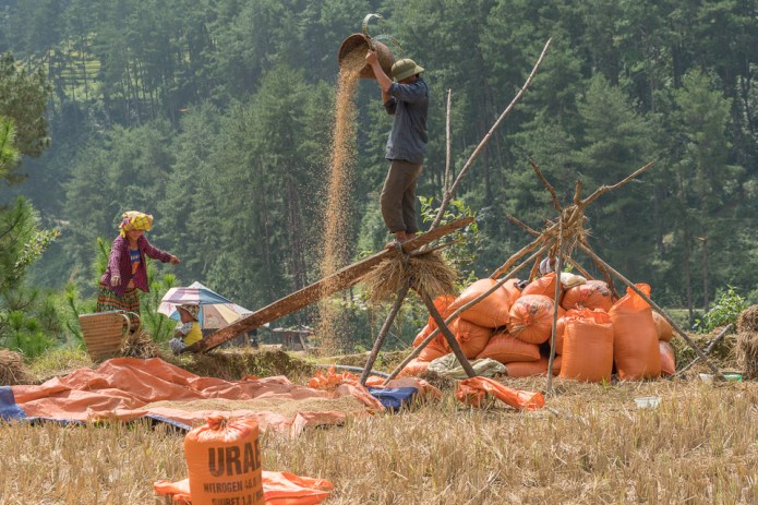 SapaDSC0076320170922-1