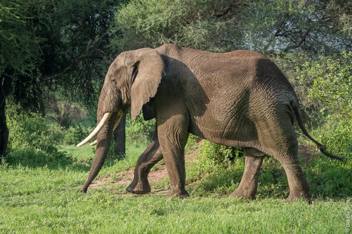 TanzaniaA730010520170125-1