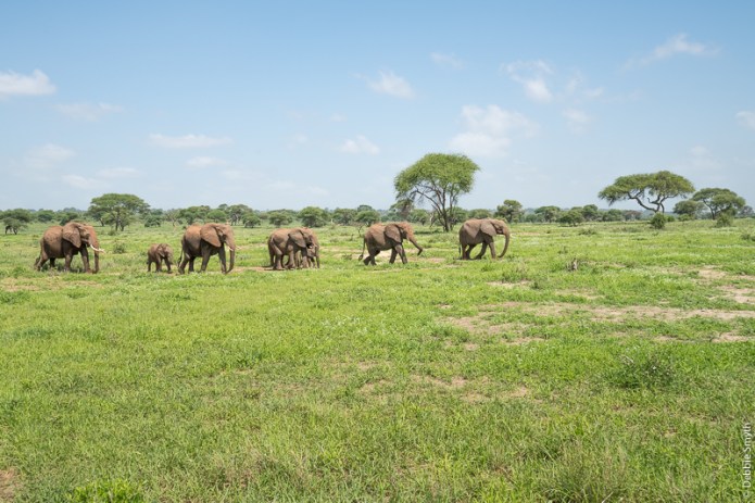 TanzaniaA730997920170124-1