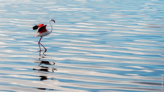 TanzaniaA9A0224220180128-1-3