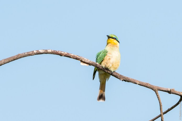 TanzaniaA9A0990420180121-1