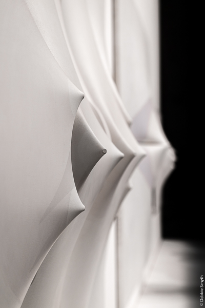 untitledDSC0878320171125-1