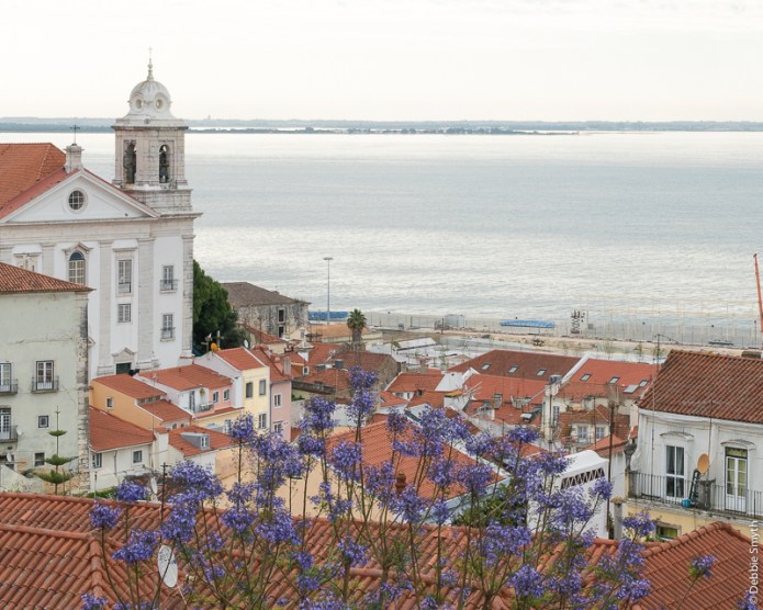 LisbonDSC0260620170517-1-2