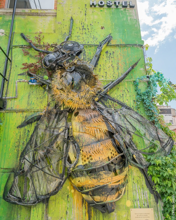 LisbonDSC0287920170518-1