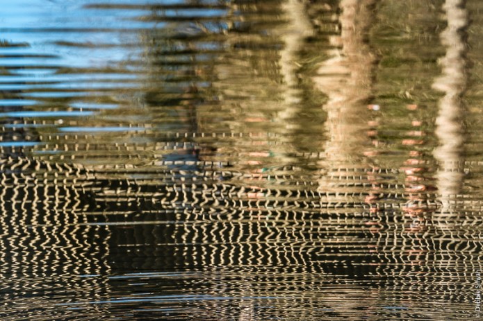 LondonA9A0291320180211-1