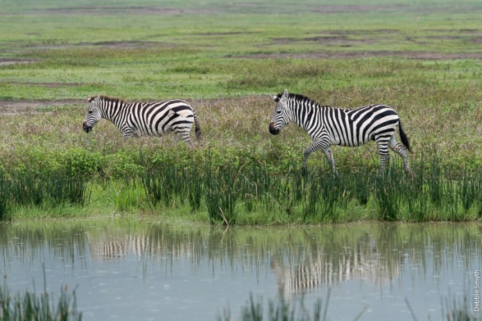 TanzaniaA730018220170126-1