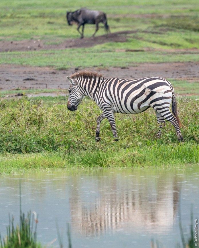 TanzaniaA730018520170126-1-2