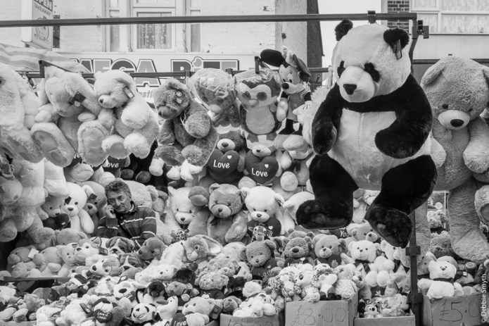 untitledDSC0724920171116-1