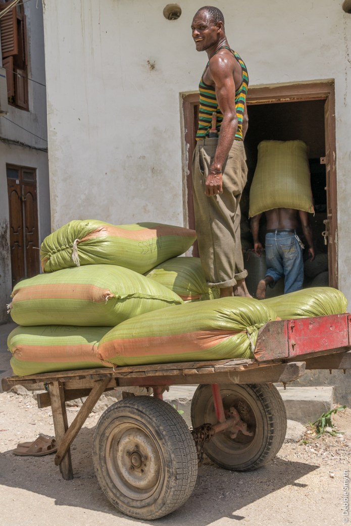 ZanzibarA730118120170130-1