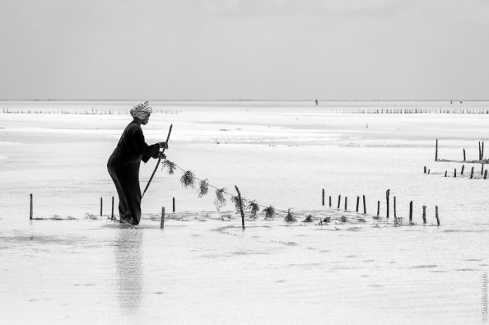 ZanzibarA9A0269420180201-1