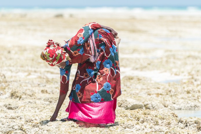 ZanzibarA9A0279620180202-1