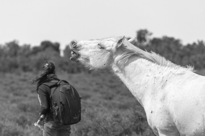 20150523__DSC8662-1-2